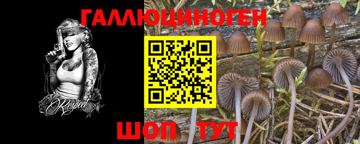 Псилоцибиновые грибы MAGIC MUSHROOMS Димитровград