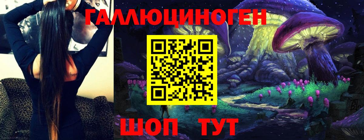 Димитровград  Галлюциногенные грибы Psilocybine cubensis  Вход с VPN 