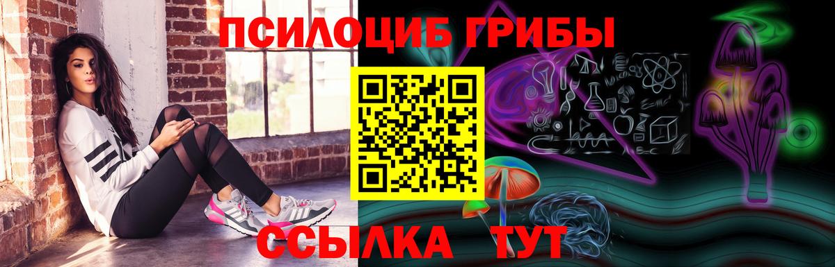 Галлюциногенные грибы Magic Shrooms  Псилоцибиновые грибы MAGIC MUSHROOMS  Димитровград 